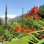 Aconitum In By Interhome Apartamento Millstatt