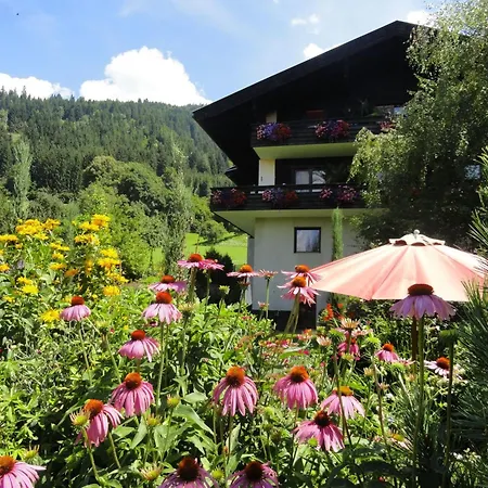 Aconitum In By Interhome Apartamento Millstatt