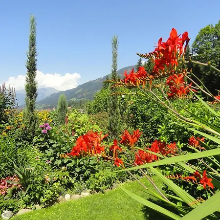 Aconitum In By Interhome Apartamento Millstatt