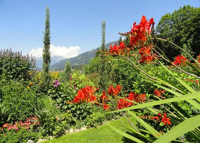 Aconitum In By Interhome Διαμέρισμα Millstatt